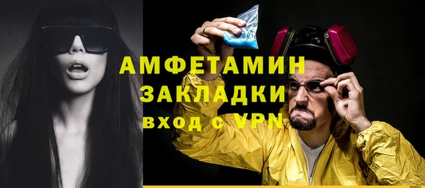 индика Дубовка
