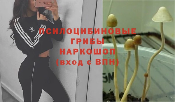 дурь Лихославль