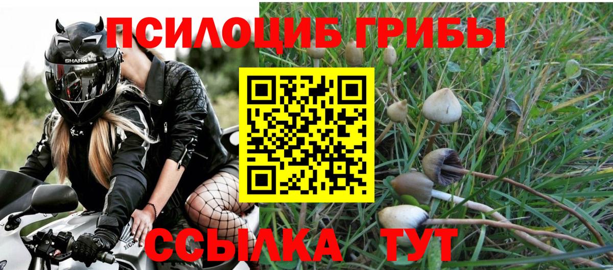 Псилоцибиновые грибы MAGIC MUSHROOMS Лабытнанги