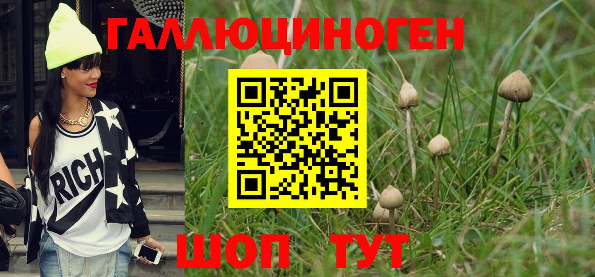 Лабытнанги  Псилоцибиновые грибы ЛСД  Вход с VPN  Галлюциногенные грибы Cubensis 